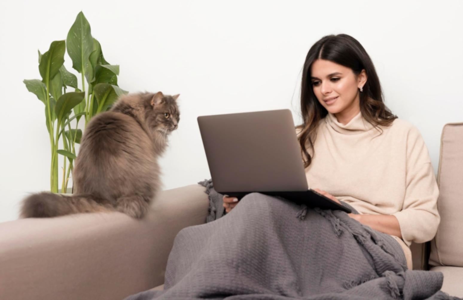 Gemeinsames Arbeiten und Austausch